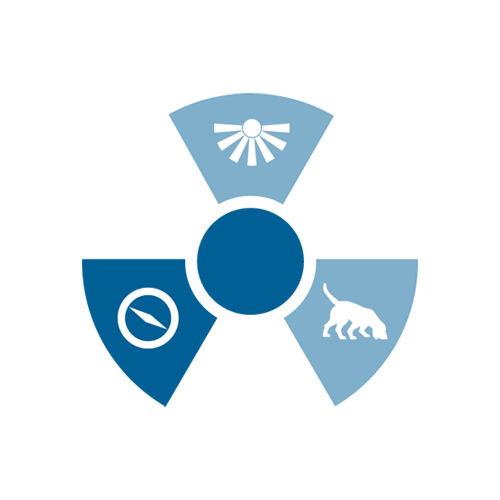 Mapping Mode for Radiation Detection